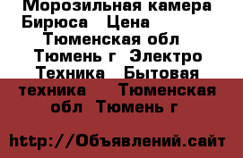 Морозильная камера Бирюса › Цена ­ 3 900 - Тюменская обл., Тюмень г. Электро-Техника » Бытовая техника   . Тюменская обл.,Тюмень г.